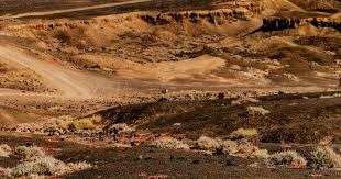 【LPL老婆】Rita cos阿狸新皮肤，魅惑人心无人能顶得住